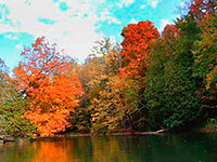 Fall canoe trips on the Manistee River